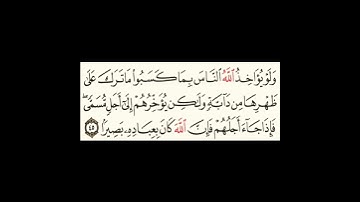 سورة فاطر آية ٤٥