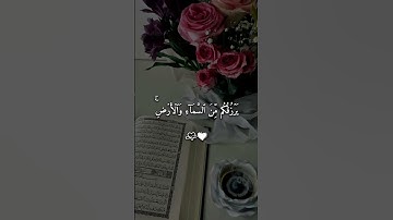 سورة فاطر _ فارس عباد