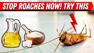 How To Make A Homemade Roach Trap That Actually Works Fast