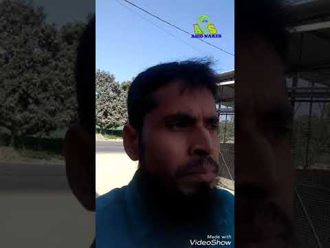 camera iphone 8 plus apk Bil mein chhupa tha NAAG (Cobra snake)
