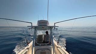 Trolling Mahi on a Weed line | Perfect Conditions, Tough Bite | North Carolina Offshore