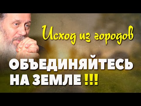 Видео: Как да спестите зеле. Част 3