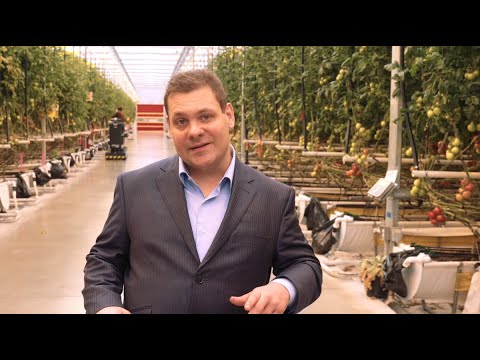 Travailler C Est Stimulant 