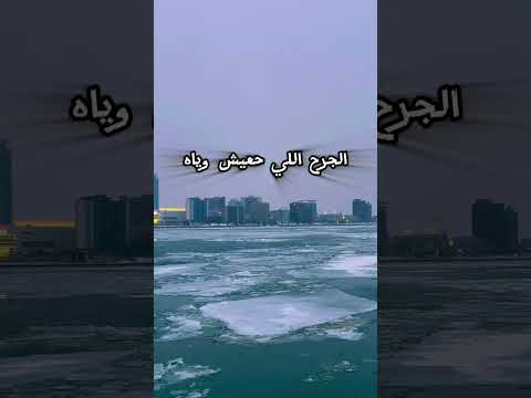 تصدق بالله الجرح إلى ح أعيش وياه بعد فراقك صعب أنساه تصويري ديترويت وردة الجزائرية بليغ حمدي