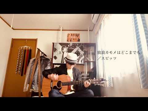 〔カバー〕放浪カモメはどこまでも／スピッツ