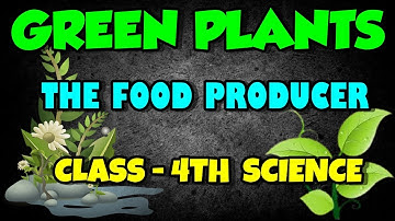 Green Plants The Food Producers Science Class 4 Chapter 2 Explained in Hindi | Class 4th Science