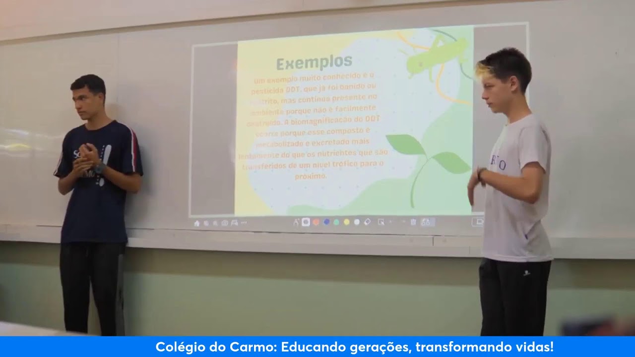 Coroação de Nossa Senhora - Educação Infantil [Inf. III]