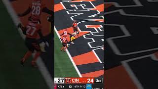 MUTH TRIED TO CELEBRATE WITH BENGALS FANS 🤣