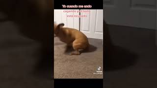 Yo Cuando Me Ando Cagando Y El Baño Esta Ocupado