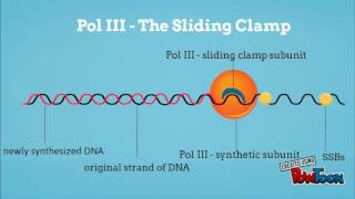 sliding clamp