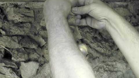 How to string onions