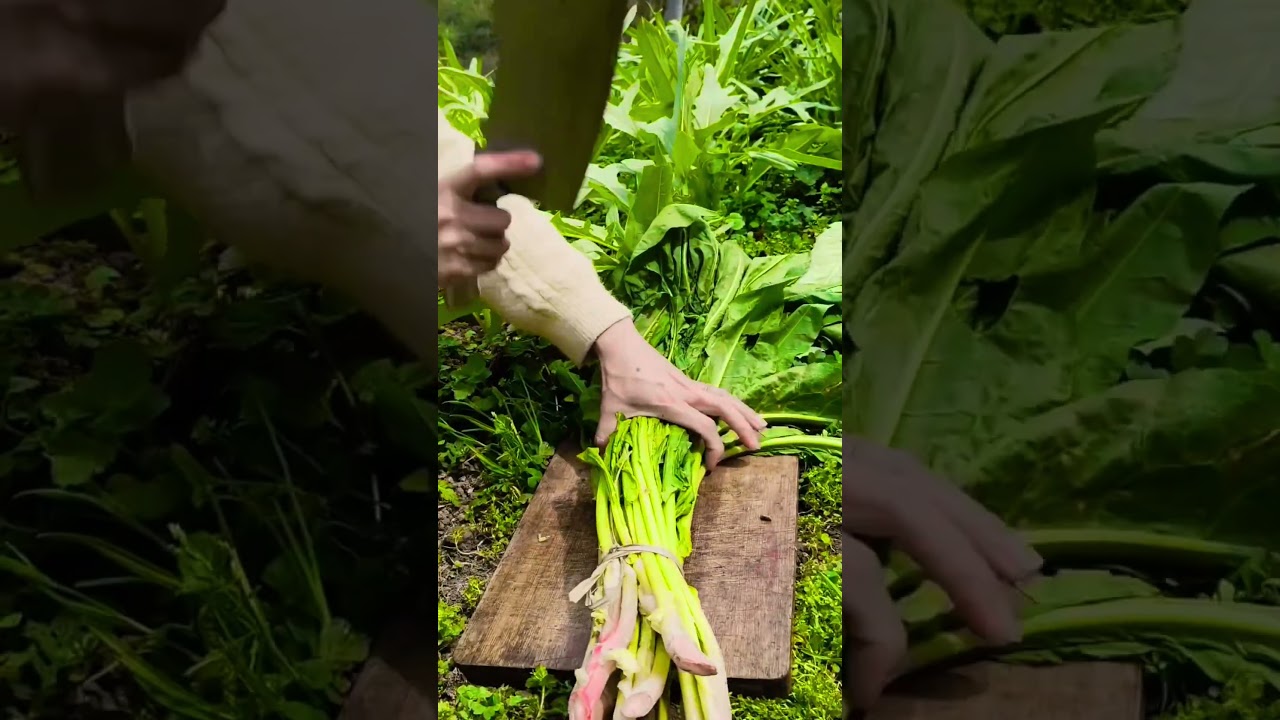 freshly picked#villagelife#farming#agriculture#planting #rurallife#enjoyrurallife#cuttingskills