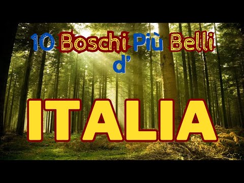 I 10 Boschi Più Belli d'Italia