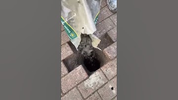 Rust never rests—and neither do we. 🛠️ Every tool on this bench has a job, a story