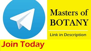 Reach us on Telegram | Let's solve MCQs screenshot 5