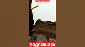 ХУНТА КИЕВ