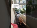 Roman the Dog Conquers the Stairs Adventure