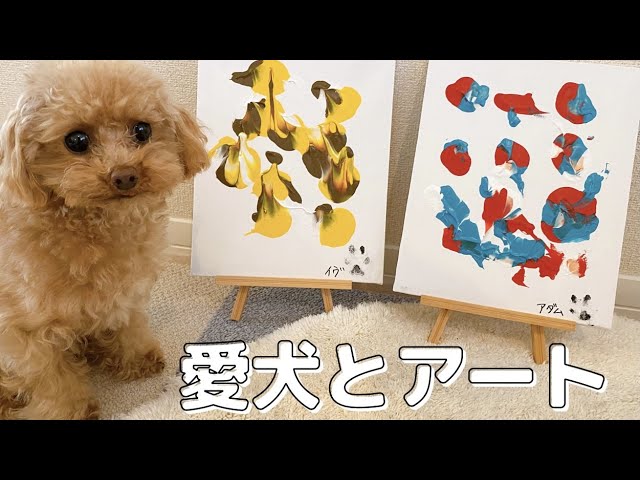 美術の成績2だった飼い主と愛犬でアートに挑戦してみた Youtube