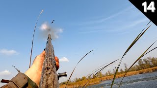 Duck Hunting 2022 | Mixed Bag On A Hidden Pond! (Public Land)