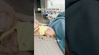 퇴사 면담하는 날 늦잠자는 사람ㅋㅋ 그리고 식욕 뚝 떨어지는 틈새라면 매운김치 먹방