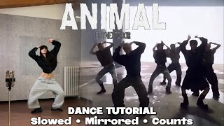 BOYNEXTDOOR - ANIMAL Dance Cover