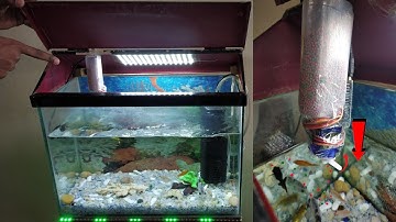 Automatic fish feeder using arduino | DIY | अब एक्वेरियम की मछली को खाना देने की जरुरत नहीं |