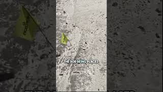 The IRRIGATION System Is In #shorts #building #irrigation The IRRIGATION System Is In #shorts #building #irrigation