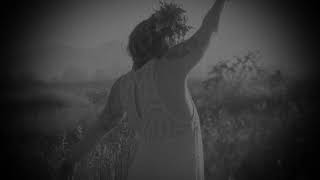 Flower in the Concrete-OFFICIAL MUSIC VIDEO