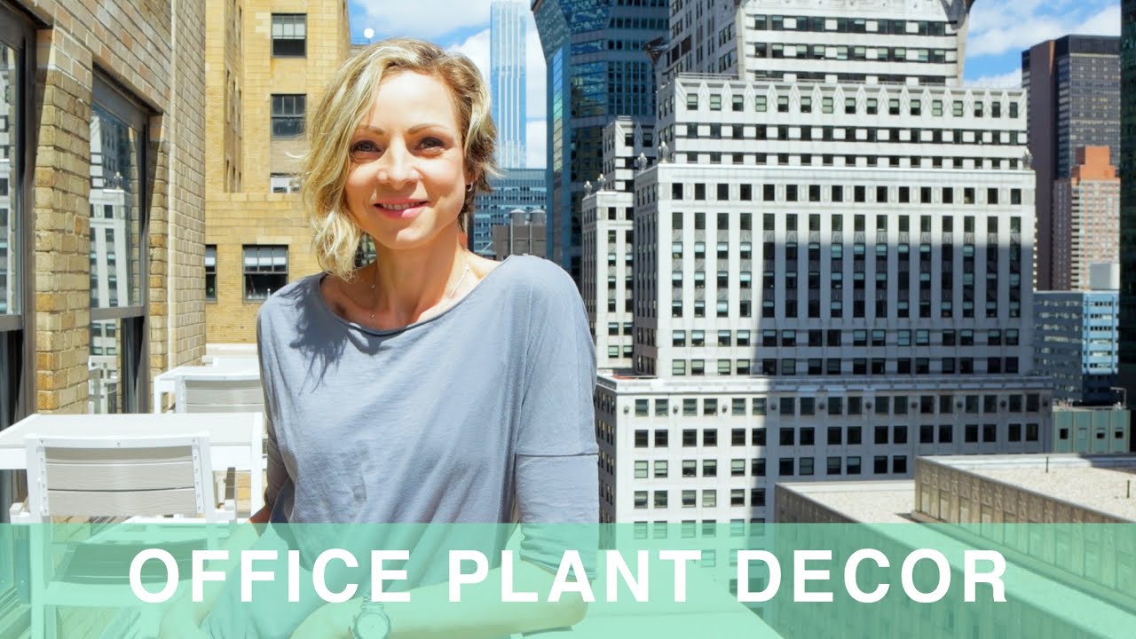 Office Plant Decor With Just 8 Plants