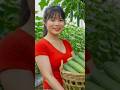 The amazing story of jackfruit part1 Poorna The🙏😯#shorts #viralshorts#lovemusic#foryou