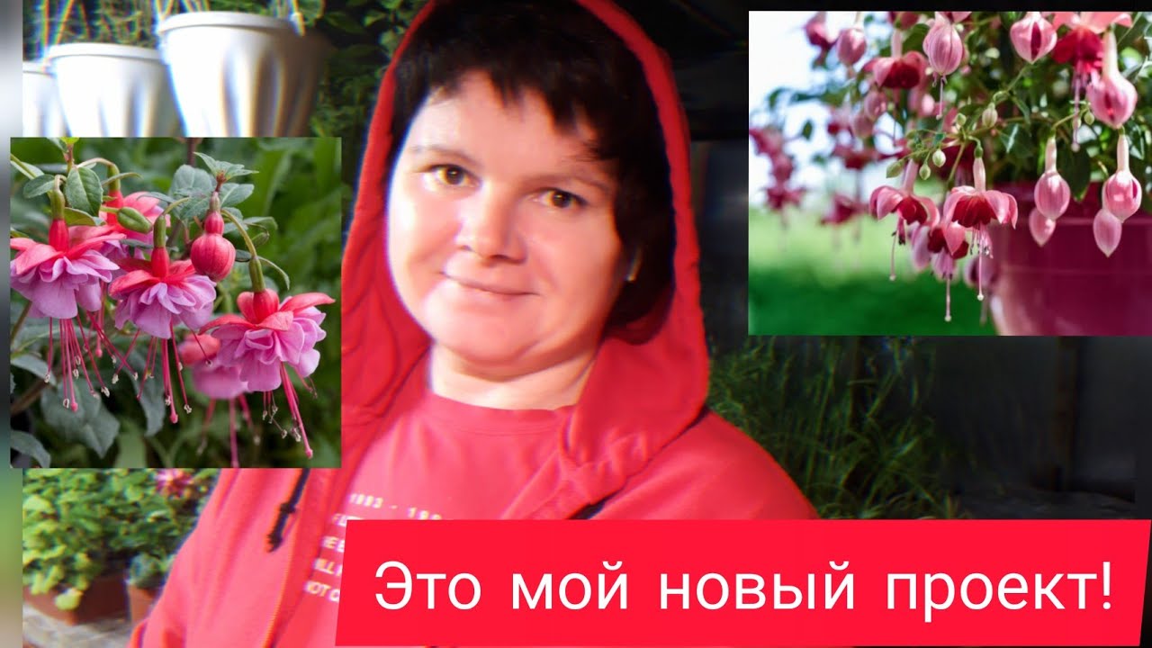 Фуксия так и манит!!! ФУКСИМАНИЯ!
