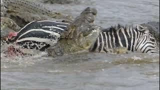 River crossing