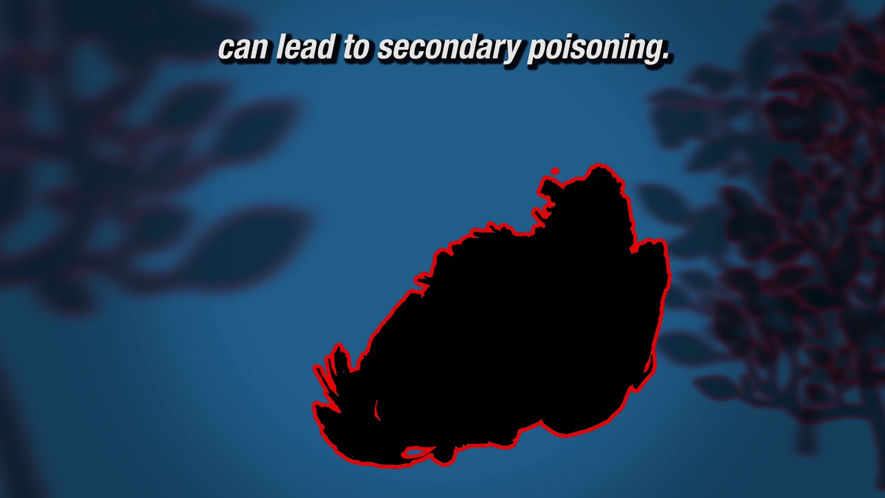 Vole Control Series - Minimizing Vole Damage