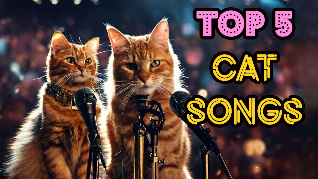 TOP5 CAT SONG HITS   Feline Chart Toppers Talents