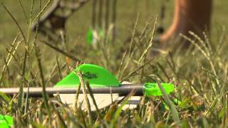 Deer Season Bow Prep