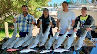 Fishing lady Julie Percy island port fairy Victoria gummy sharks hot bite