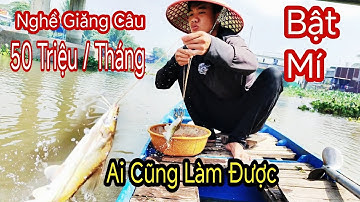 Lộc Cá Lăng | Tiết Lộ Nghề Giăng Câu Cá Lăng Thu Nhập Khủng - Fishing