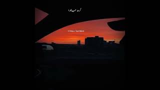 Sada Pyar Eda Da Si Ho Gya Ap Dillon Latest Punjabi Beautiful Whatsapp Status