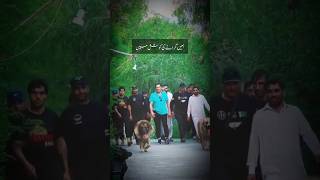 Pti loversimran khan attitudeimran khan latest video