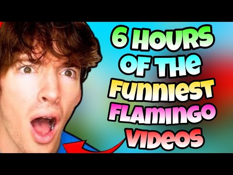 6 Hours Of