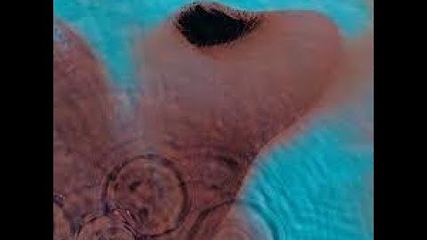 Pink Floyd - Fearless // 432Hz // Sub Español
