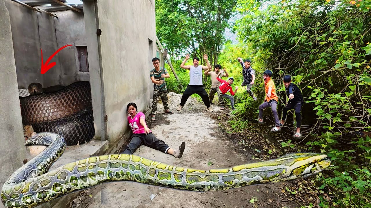 Топ-5 случаев, когда отважные охотники спасли девочку от гигантской анаконды в заброшенном доме