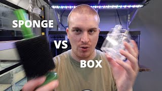 Celebrity Sponge Filter VS Box Filter Wealth