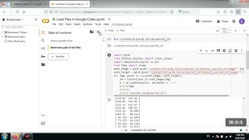 How to Load Files (Images and Texts) in Google Colab in Pytorch?