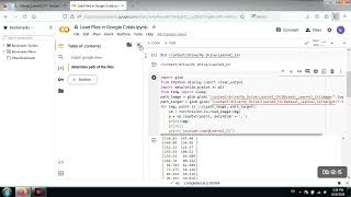 How to Load Files (Images and Texts) in Google Colab in Pytorch?