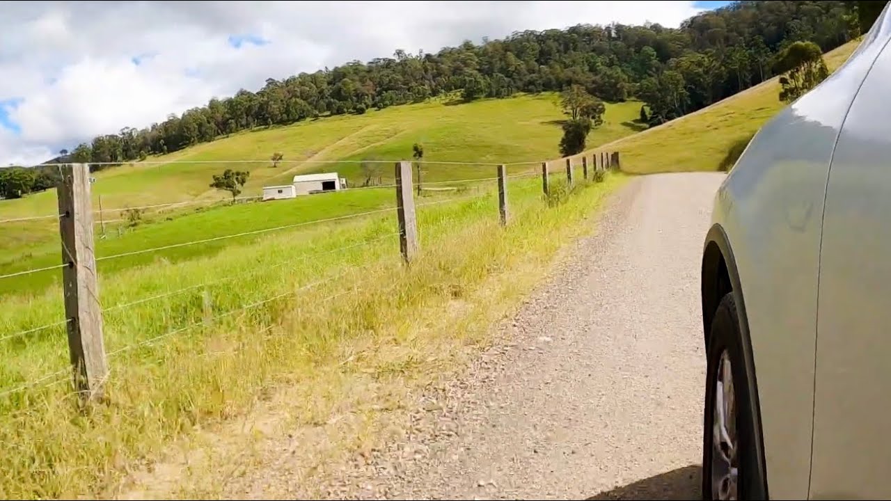 5. Vlog w/ subtitles - Barrington Tops, Gloucester Tops, Blue gum track, Gondwana rainforest