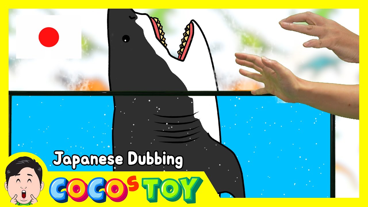 家でホオジロザメ飼育する ｜ホオジロザメの漫画、海洋動物の漫画｜日本語ダビング｜CoCosToy