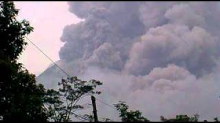 Wedus Gembel Merapi