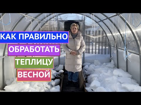 ОБРАБАТЫВАЕМ ТЕПЛИЦУ ВЕСНОЙ! ОСНОВНЫЕ ПРАВИЛА!