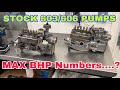 Stock 603 606 pumps max bhp  dieselpumpuk
